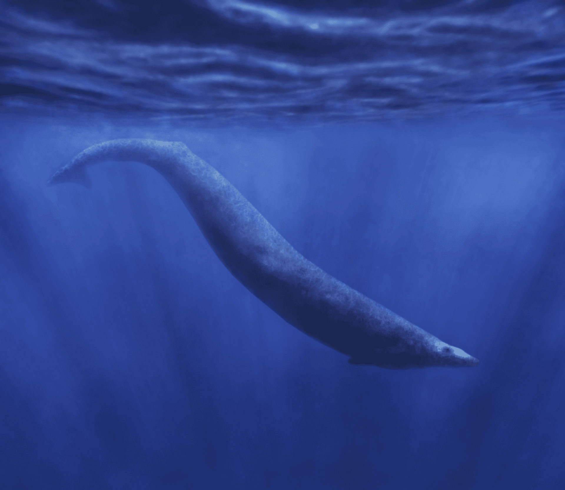 Basilosaurus cetoides, un cétacé primitif