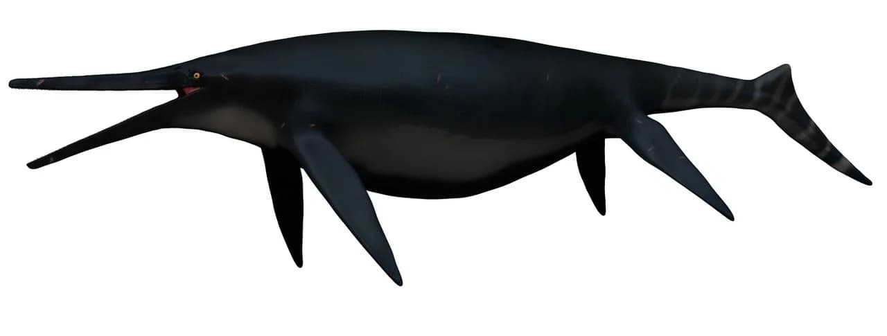 Shonisaurus popularis, un ichtyosaure géant
