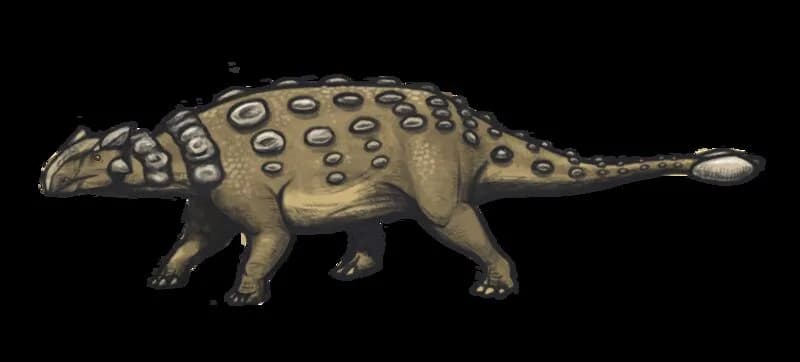 Reconstitution d'Ankylosaurus magniventris