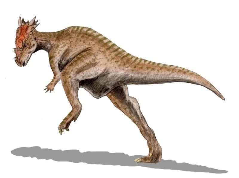 Reconstitution artistique de Dracorex hogwartsia montrant le crâne épineux et la silhouette bipède