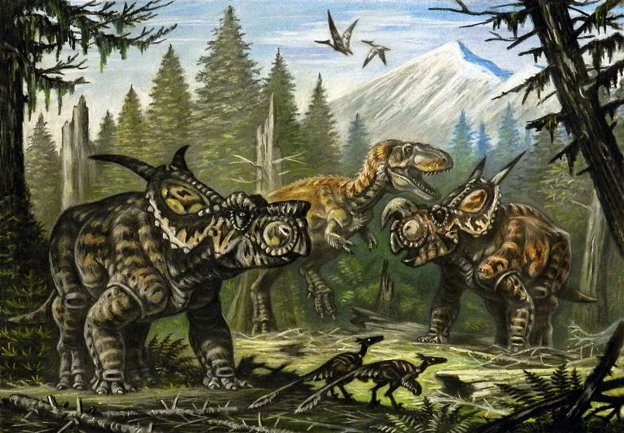 Reconstitution d'Einiosaurus procurvicornis