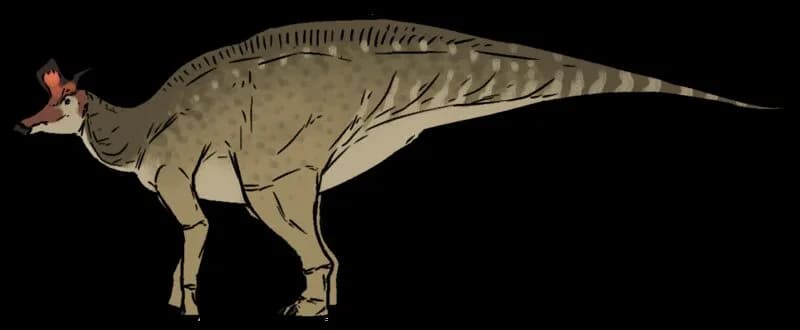 Reconstitution de Lambeosaurus lambei