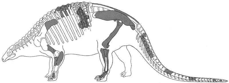 Illustration originale de Nodosaurus textilis