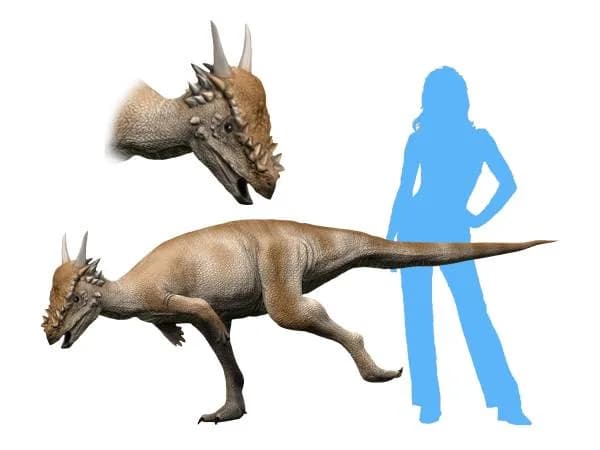 Illustration de Stygimoloch spinifer