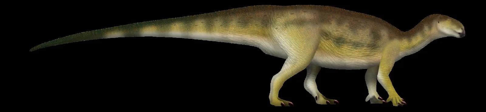 Reconstitution de Tenontosaurus tilletti