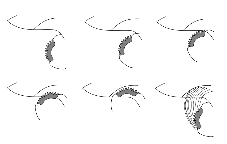Diagramme du mouvement de la mâchoire en spirale