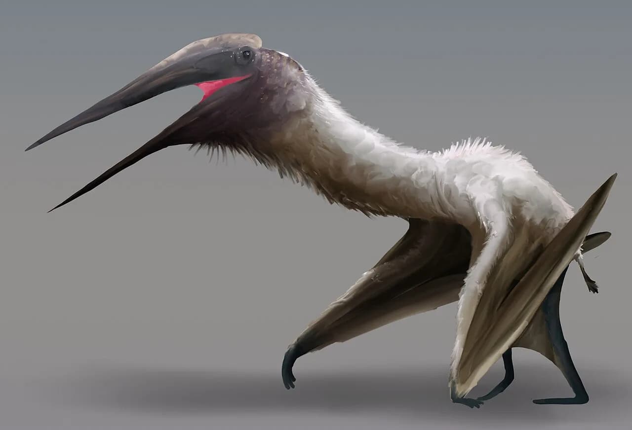 Illustration de Cryodrakon