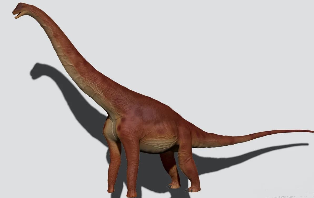 Alamosaure