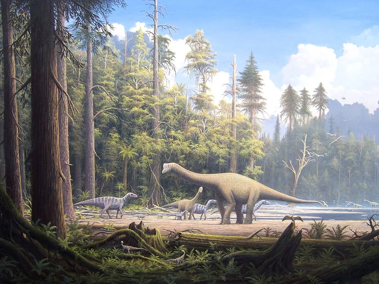 Reconstitution d'Europasaurus holgeri, sauropode nain du Jurassique supérieur
