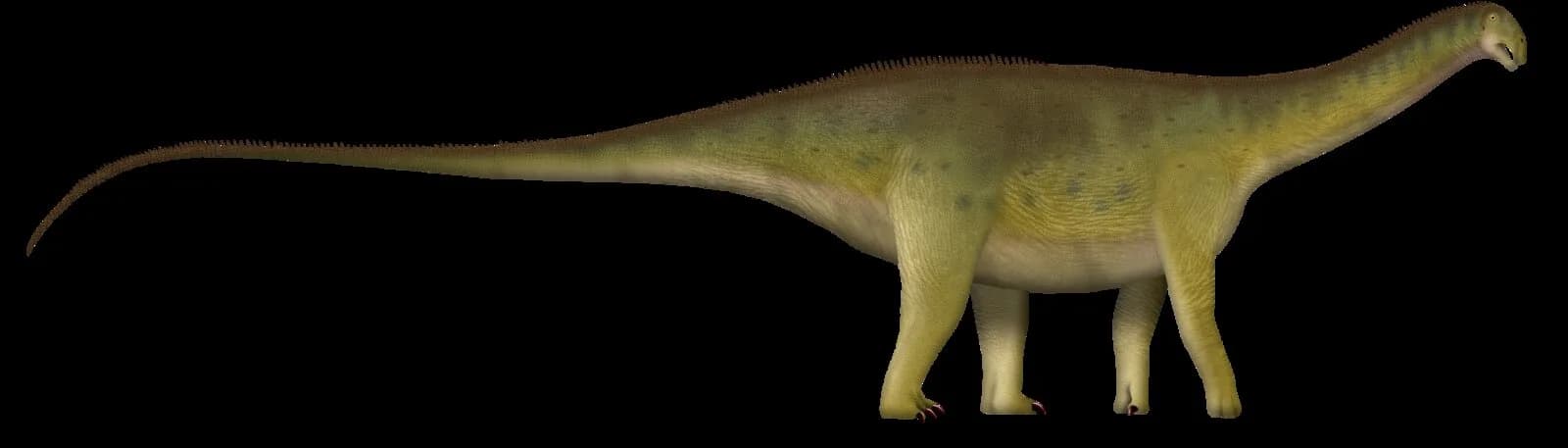 Reconstitution de Nigersaurus taqueti