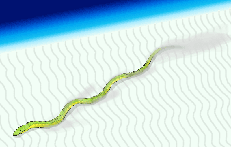 Reconstitution de Gigantophis garstini