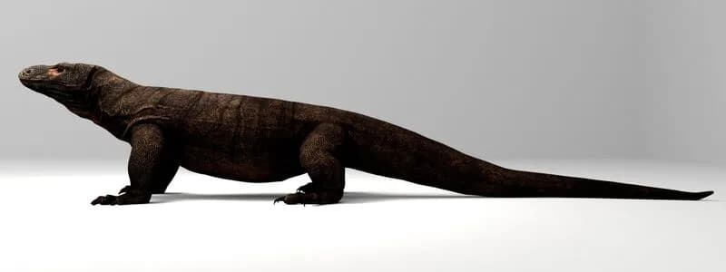 Comparaison de taille entre Megalania et un dragon de Komodo moderne