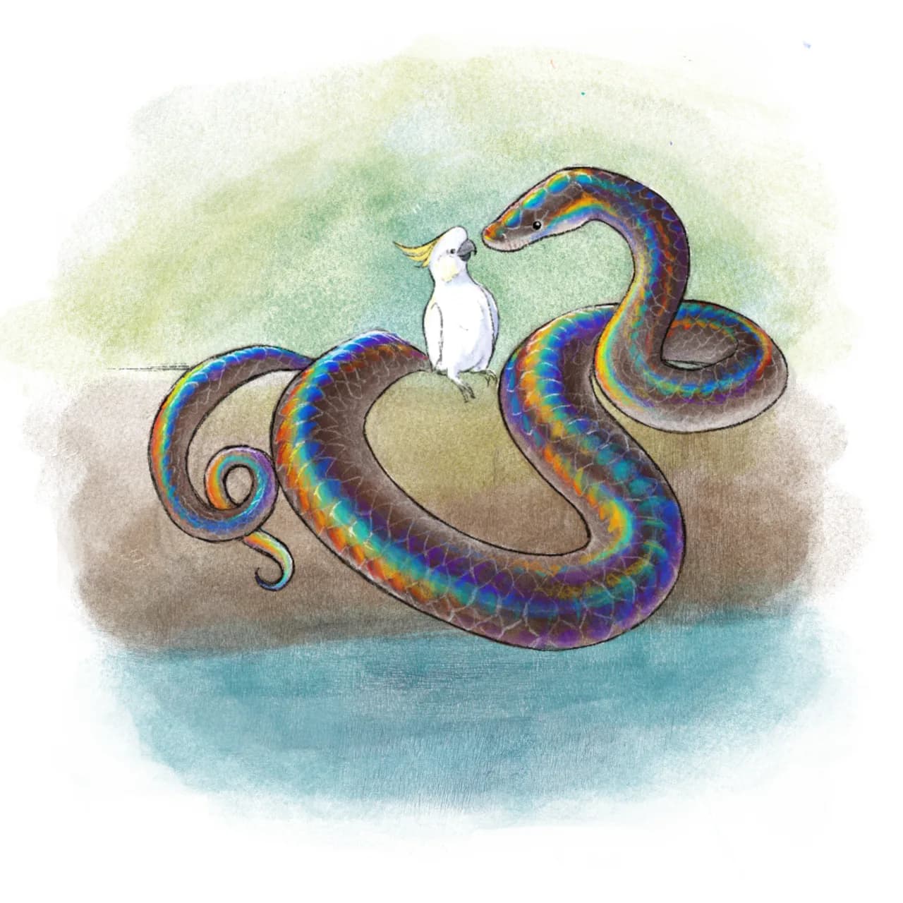 Reconstitution de Wonambi naracoortensis
