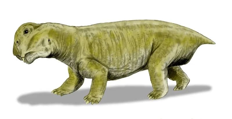 Reconstitution de Lystrosaurus, le survivant de la grande extinction