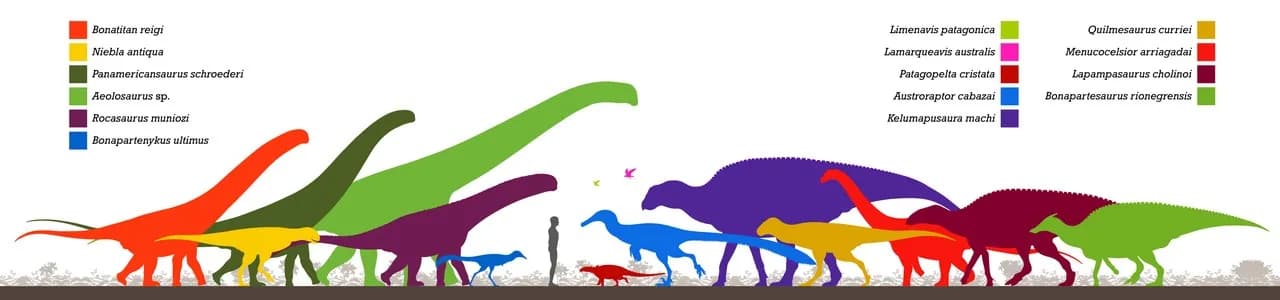 Reconstitution d'Austroraptor cabazai