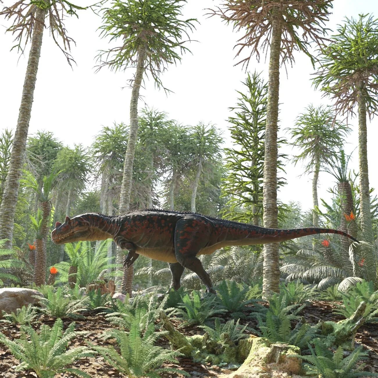 Reconstitution 3D de Ceratosaurus nasicornis dans la Formation de Morrison