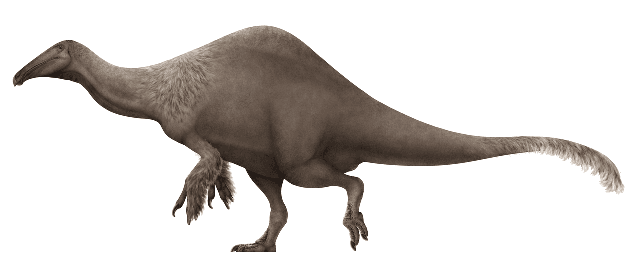 Reconstitution de Deinocheirus