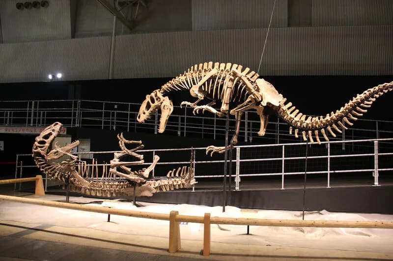 Reconstitution d'un tyrannosauroïde primitif à plumes