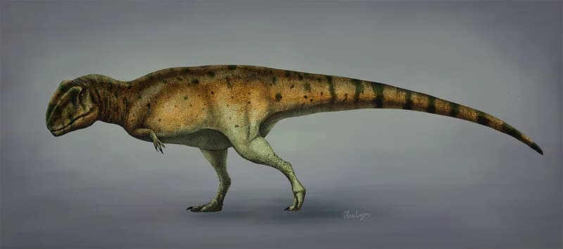 Reconstitution de Mapusaurus roseae