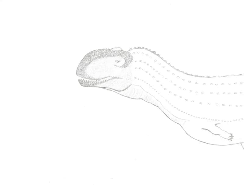 Reconstitution de Rajasaurus narmadensis
