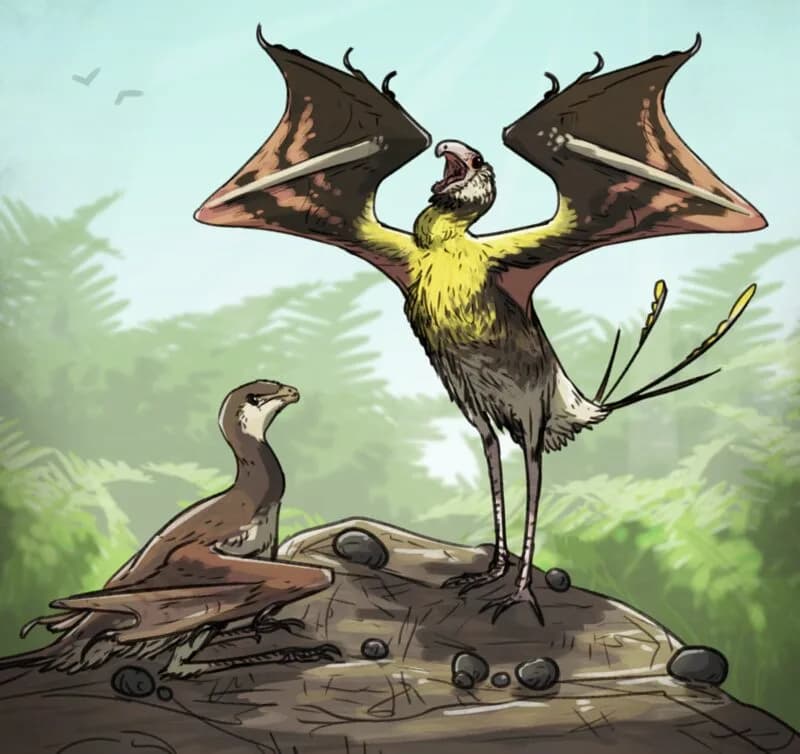 Reconstitution artistique de Yi qi montrant ses ailes membraneuses semblables à celles d'une chauve-souris et son pelage de plumes filiformes primitives
