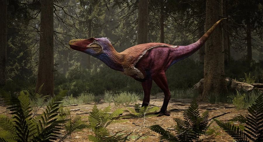 Alioramus