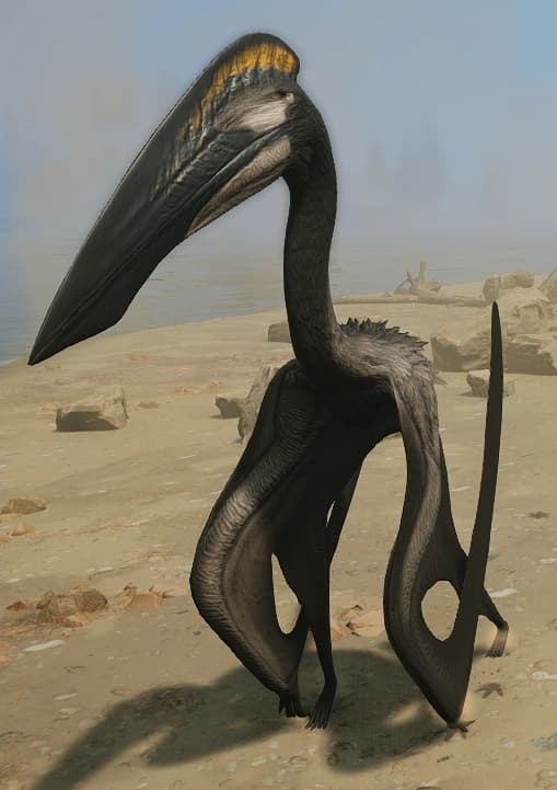 Hatzegopteryx