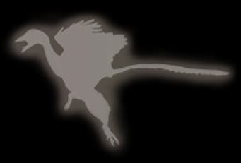 Microraptor