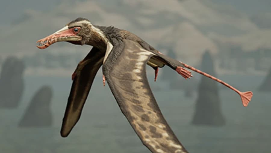Rhamphorhynchus