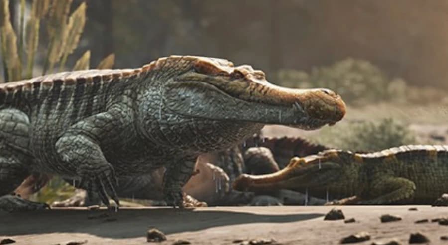 Sarcosuchus